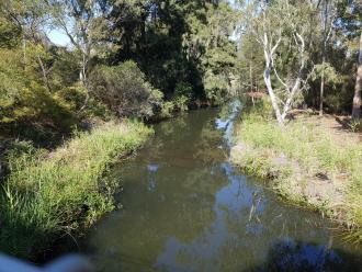 Upstream of Edgars Creek