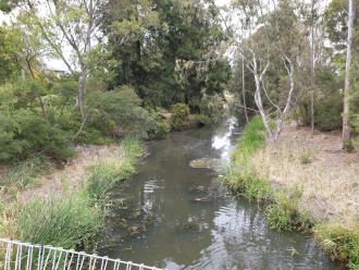 Upstream of Edgars Creek