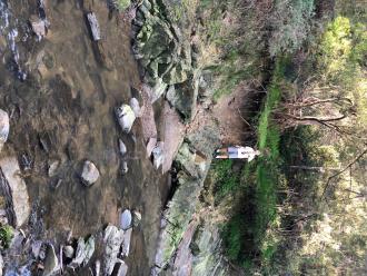 Lukas B standing near eroded bank at YML057