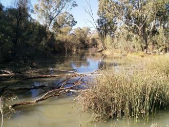 Sandilong Creek, Mildura