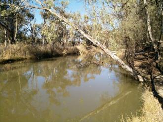 Tributary of Murray River, Mildura, Downstream