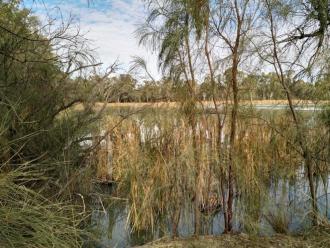 Kings Billabong, Mildura