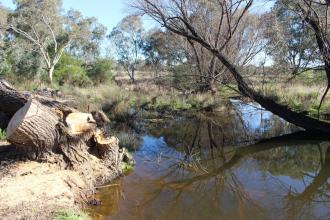 Down stream