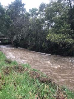 Water muddy and cloudy after heavy rain