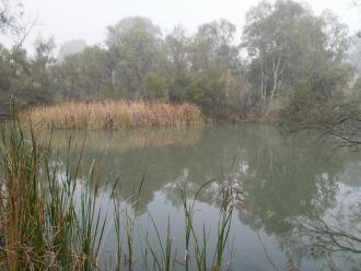 Sandilong Creek, Mildura