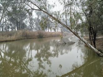 Upstream, Murray River, Mildura