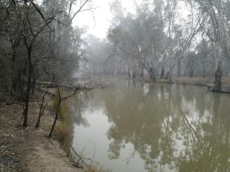 Downstream, Murray River, Mildura