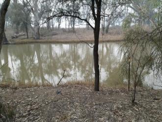 Site Photo, Murray River, Mildura