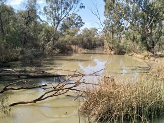 Sandilong Creek, Mildura