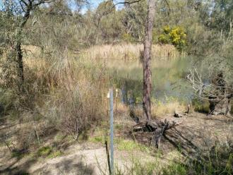 Sandilong Creek, Mildura