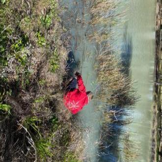 Pulling rubbish out of the water.