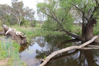 Down stream