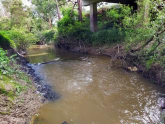 View north under bridge