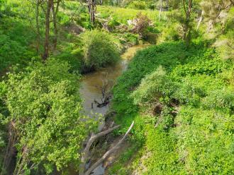 View south from bridge