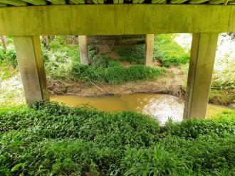 View east undr bridge