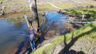 Jenny sampling