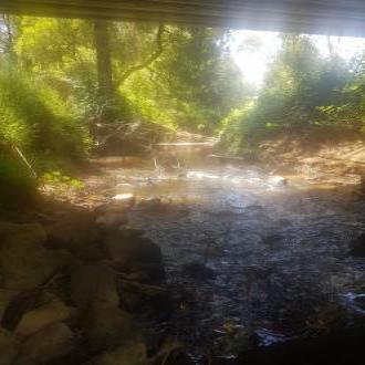 looking west under the bridge