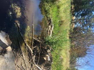Upstream