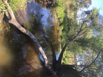 Down stream