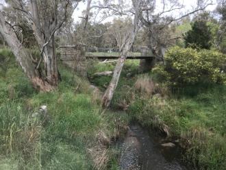 Myrtle Creek Footbridge