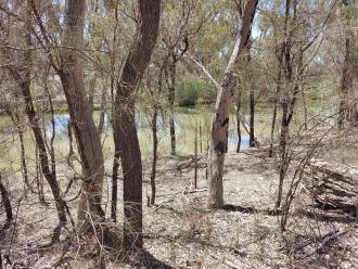 Murray River, Mildura, Site Photo