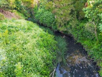 View from bridge looking north