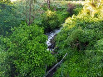 View from bridge looking south