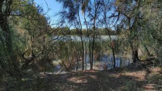 Levee Bank, Kings Billabong, Murray River Mildura