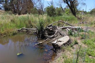 Upstream