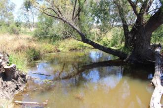 Down stream