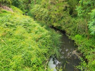 View north from bridge