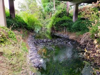 View north under bridge