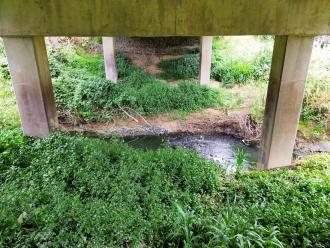 View looking east under bridge