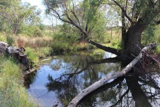 Down stream