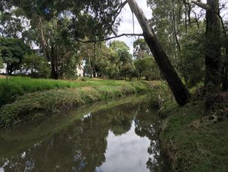 looking upstream