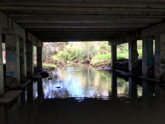 looking downstream