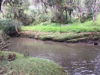 looking downstream of the drain point