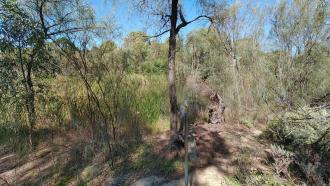 Sandilong Creek, Murray River, Mildura