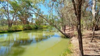 Upstream, Sandilong Creek, Murray River, Mildura