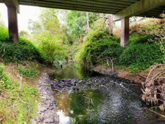 View under bridge looking north