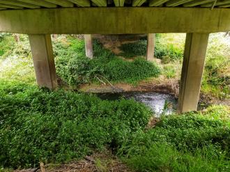 View under bridge looking east