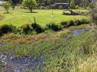 Five Mile Creek Reserve