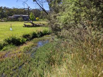 Five Mile Creek Reserve Downstream