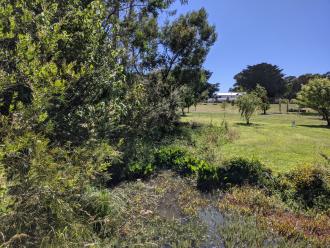 Five Mile Creek Reserve Upstream