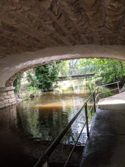 Five Mile Creek Childrens' Park downstream Feb 8