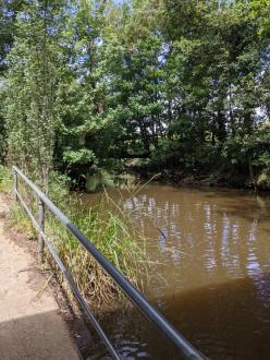 Five Mile Creek Childrens' Park upstream Feb 8