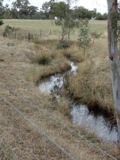 Taken 6-02-2021 looking at channel on west side of Alt Calder Hwy