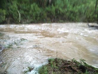 River flow near Big Tree monitoring site