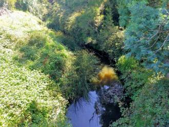 View from bridge looking north