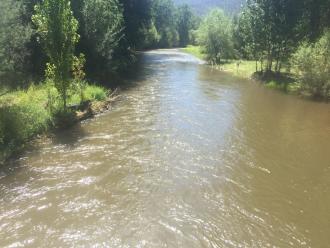 Down stream on top of Nankervis bridge